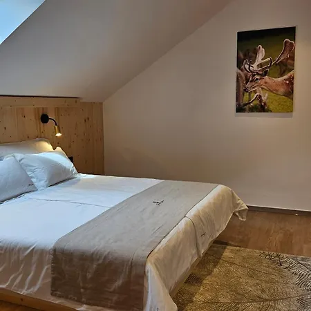 Πανσιόν Sobe Jelen Jelenov Greben