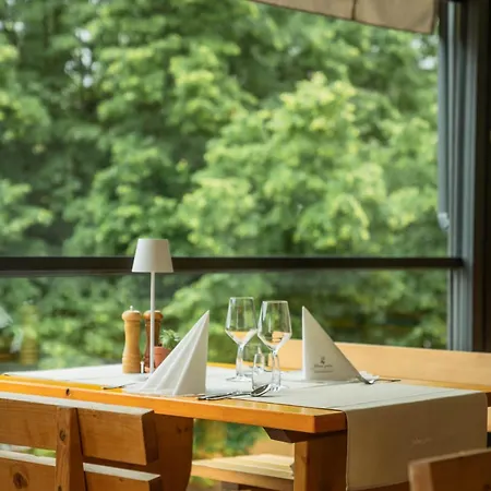 Sobe Jelen Jelenov Greben Πανσιόν 4*