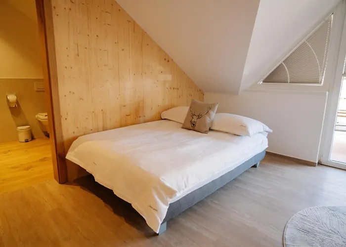 Sobe Jelen Jelenov Greben 4* Podčetrtek